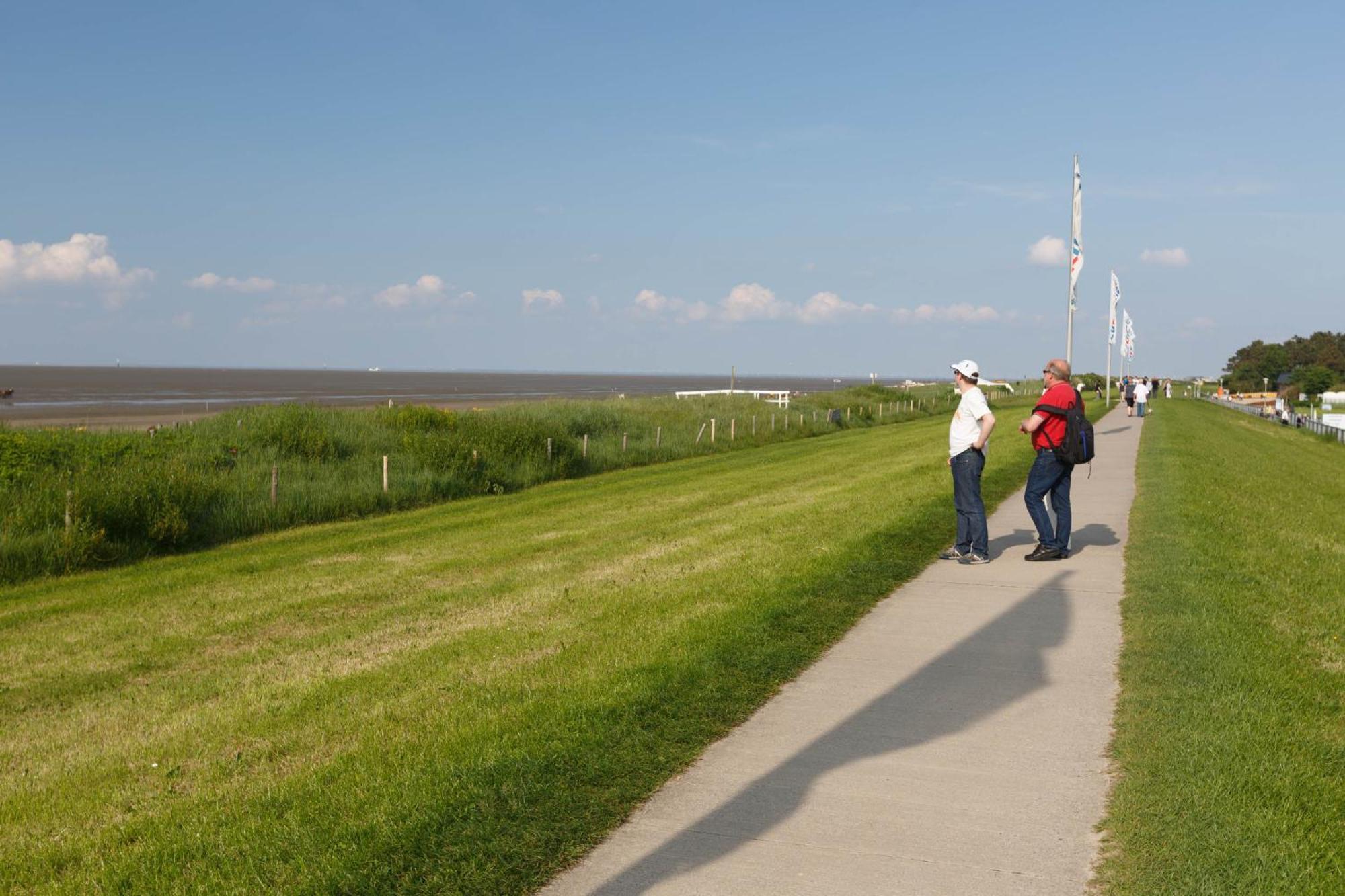 Seeschwalbe Cuxhaven